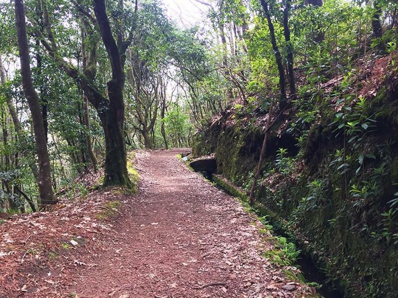 Sweet Home For Holidays Machico  Esterno foto